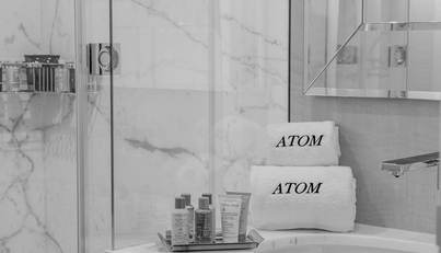 ATOM For Sale image12
