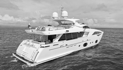 SHA SHA SHA IV For Sale image18