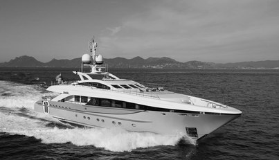 AURELIA For Sale image1