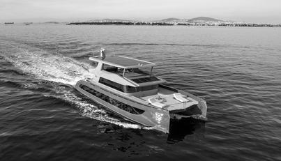 SITARA For Sale image3