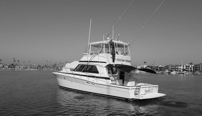 Yacht Z For Sale image6