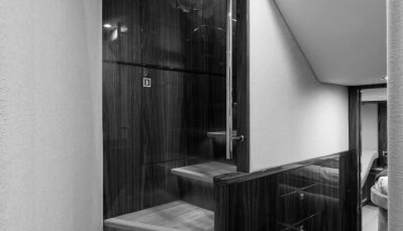 Greyhound For Sale image44