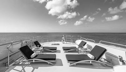 CARTE BLANCHE For Sale image8