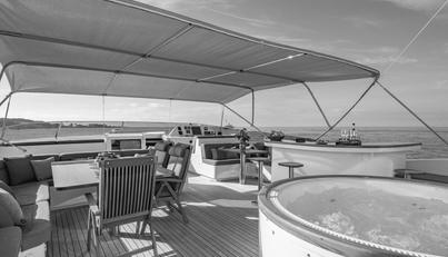 VIKING III For Sale image11