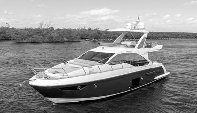 OUR TRADE For Sale image4