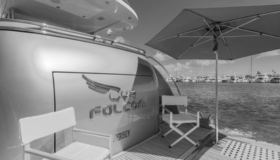 GYRFALCON For Sale image46