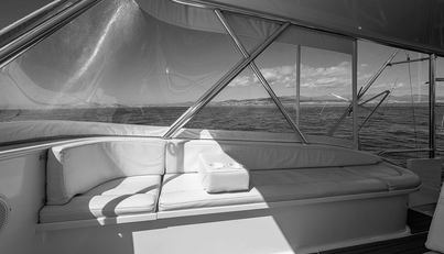 WILL RISE For Sale image28