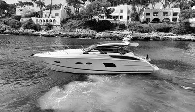 noname For Sale image8