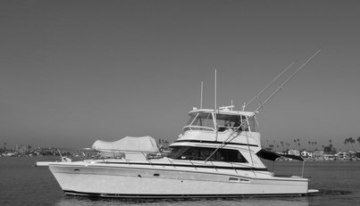 Yacht Z For Sale image10