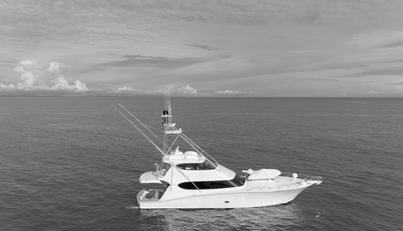 noname For Sale image1