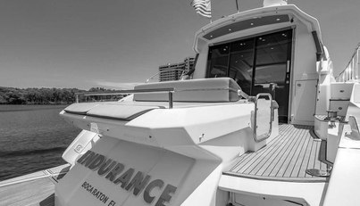 Endurance For Sale image14