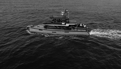 VANGUARD For Sale image32