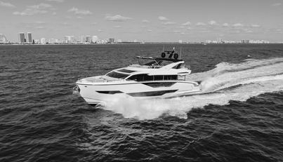 WHITE STAR For Sale image42