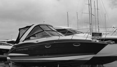 noname For Sale image1