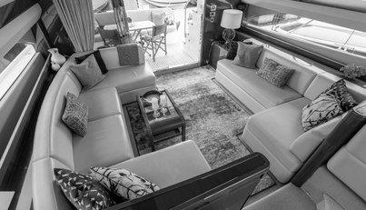 Enzo For Sale image51