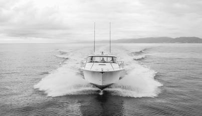 Commodore Two For Sale image12