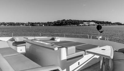 Aurelius For Sale image28