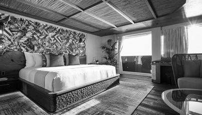 KING BENJI For Sale image22