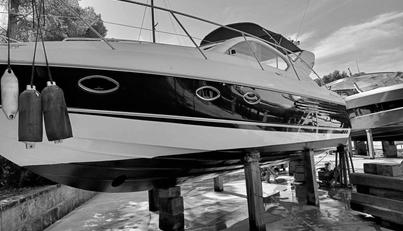 noname For Sale image39