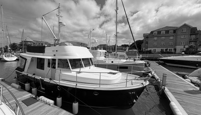 noname For Sale image27