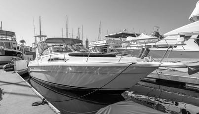 Sea Oddity For Sale image1