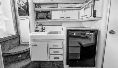 Sea Oddity For Sale image16
