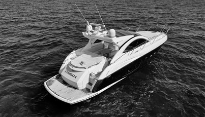 FAMIGLIA For Sale image6