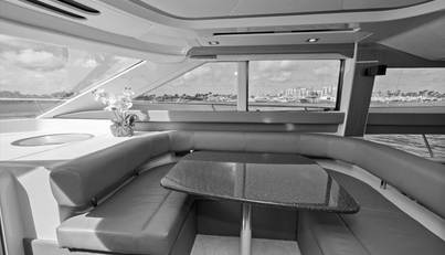 Gail’s Storm IV For Sale image49