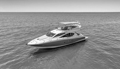 Cheers For Sale image61