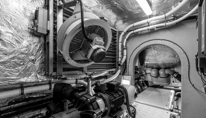 Aurelius For Sale image30