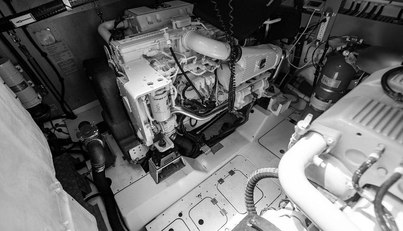 Endurance For Sale image60