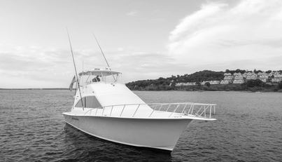 Gorilla Bowt For Sale image12