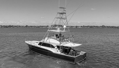 TA-BOO For Sale image8