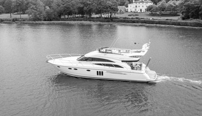 Enzo For Sale image83