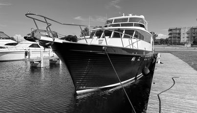 MISS STEPHANIE For Sale image54
