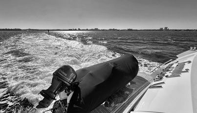 noname For Sale image26