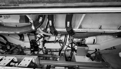 TANGERINE MOON For Sale image42