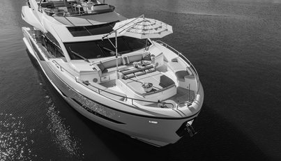 WHITE STAR For Sale image40