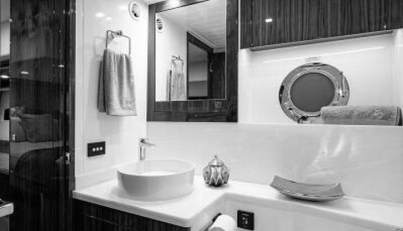 Greyhound For Sale image68