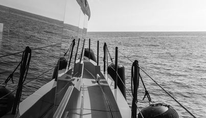 VANGUARD For Sale image28