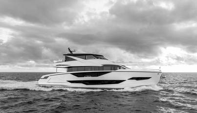 Aurelius For Sale image6