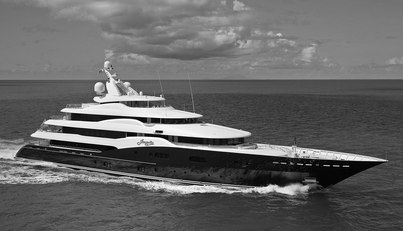 AMARYLLIS For Sale image1