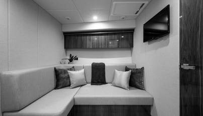 Greyhound For Sale image55