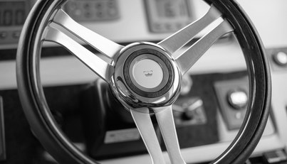 Enzo For Sale image35