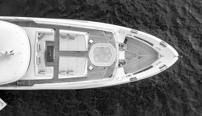 PATIENCE For Sale image2