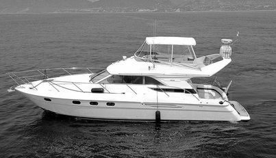 Aloha For Sale image1