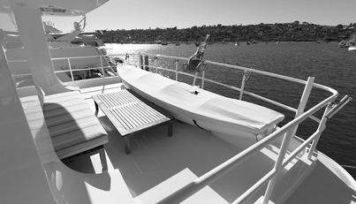 AMARELLLA F For Sale image2