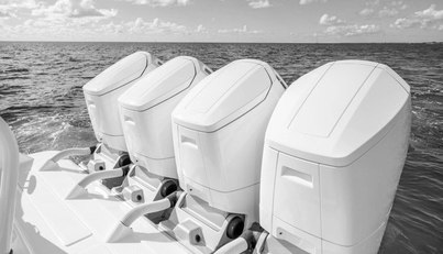 48 Campeon For Sale image7