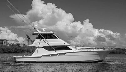 noname For Sale image3