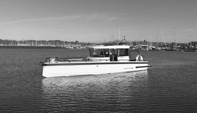 HAYLU For Sale image1